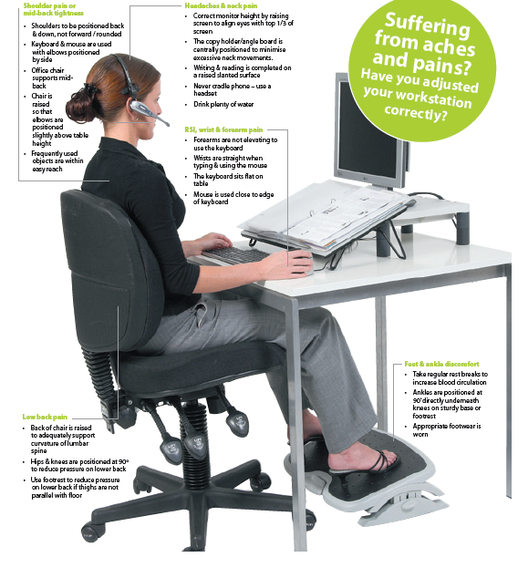 Bodysmart Ergonomic Equipment Ergonomic Chair Ergonomic